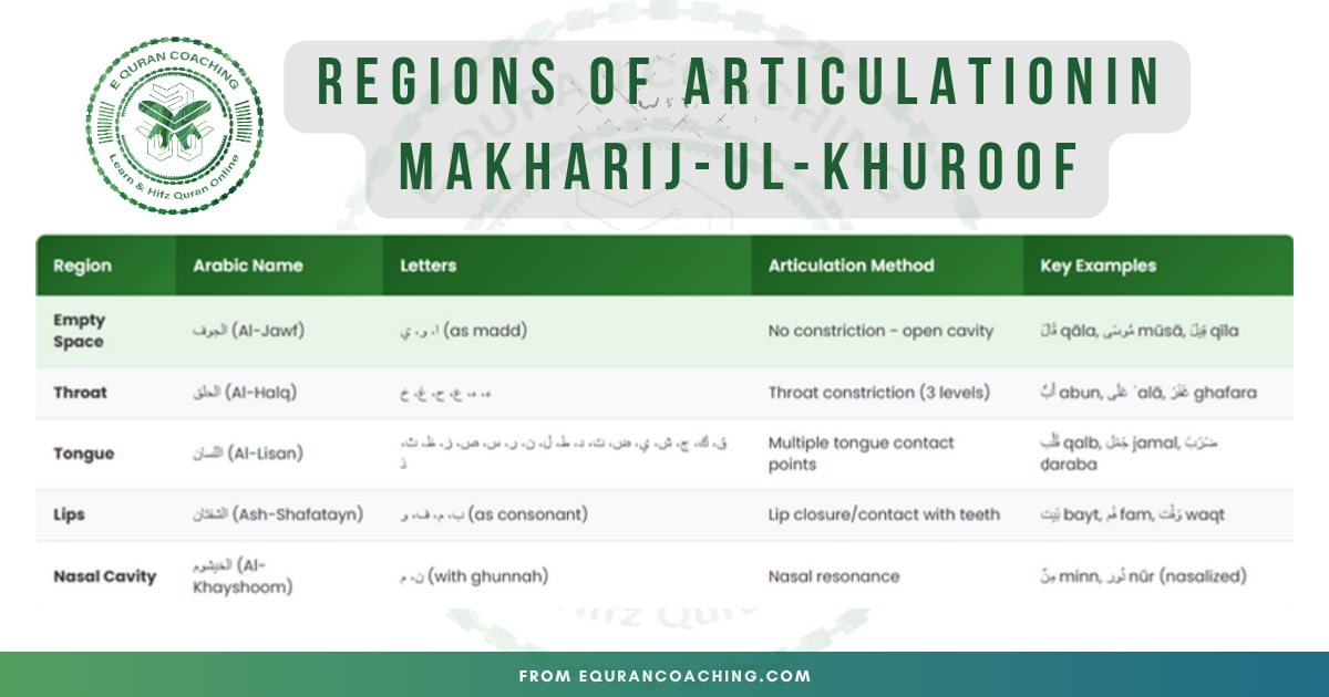 Regions of Articulation in Tajweed - Complete Visual Guide Five regions of articulation in Tajweed showing Al-Jawf, Al-Halq, Al-Lisan, Ash-Shafatayn, and Al-Khayshoom